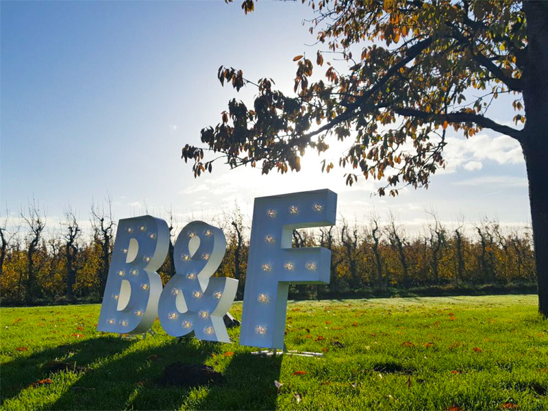 Image gallery marquee